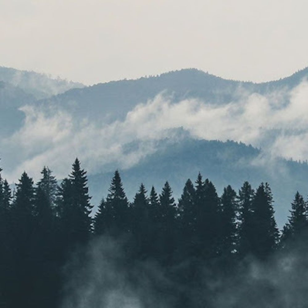 Meet your Posher, Elena